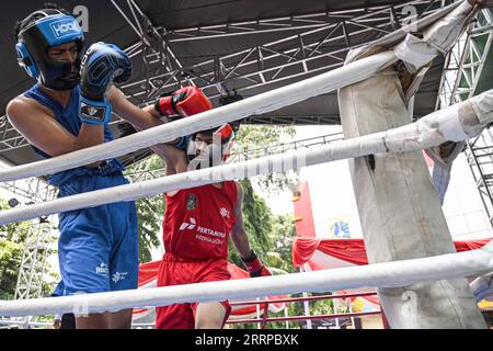 230311 -- JAKARTA, 11. März 2023 -- Amateurboxer treten während der Jakarta Boxing Open in Jakarta, Indonesien, am 11. März 2023 an. SPINDONESIA-JAKARTA-BOXWETTBEWERB AGUNGXKUNCAHYAXB. PUBLICATIONxNOTxINxCHN Stockfoto