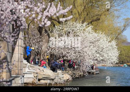 230315 -- PEKING, 15. März 2023 -- Touristen machen Fotos im Sommerpalast in Peking, Hauptstadt von China, am 15. März 2023. CHINA-PEKING-SOMMER PALAST-FRÜHLING CN CHENXYEHUA PUBLICATIONXNOTXINXCHN Stockfoto
