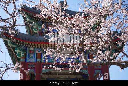 230315 -- PEKING, 15. März 2023 -- dieses Foto, das am 15. März 2023 aufgenommen wurde, zeigt einen Blick auf den Sommerpalast in Peking, der Hauptstadt Chinas. CHINA-PEKING-SOMMER PALAST-FRÜHLING CN CHENXYEHUA PUBLICATIONXNOTXINXCHN Stockfoto