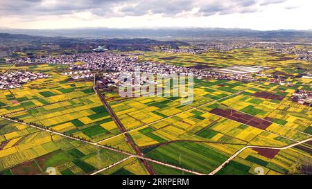 230318 -- HANZHONG, 18. März 2023 -- dieses Luftbild, das am 16. März 2023 aufgenommen wurde, zeigt cole Flower Fields im Yangxian County der Stadt Hanzhong in der nordwestlichen chinesischen Provinz Shaanxi. Während die Temperatur allmählich steigt, haben die Blüten der cole viele Touristen nach Hanzhong gezogen. In den letzten Jahren wurde die ländliche Revitalisierung von Hanzhong durch die Entwicklung der ökologischen Landwirtschaft und des Tourismus stark gefördert. Foto von /Xinhua CHINA-SHAANXI-HANZHONG-COLE BLUMEN CN ZouxJingyi PUBLICATIONxNOTxINxCHN Stockfoto