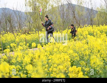 230318 -- HANZHONG, 18. März 2023 -- Touristen haben Spaß in cole Flower Fields in Hanzhong City, nordwestchinesische Provinz Shaanxi, 18. März 2023. Während die Temperatur allmählich steigt, haben die Blüten der cole viele Touristen nach Hanzhong gezogen. In den letzten Jahren wurde die ländliche Revitalisierung von Hanzhong durch die Entwicklung der ökologischen Landwirtschaft und des Tourismus stark gefördert. Foto von /Xinhua CHINA-SHAANXI-HANZHONG-COLE BLUMEN CN ZouxJingyi PUBLICATIONxNOTxINxCHN Stockfoto