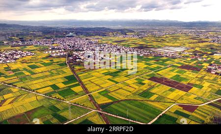 230318 -- HANZHONG, 18. März 2023 -- dieses Luftbild, das am 16. März 2023 aufgenommen wurde, zeigt cole Flower Fields im Yangxian County der Stadt Hanzhong in der nordwestlichen chinesischen Provinz Shaanxi. Während die Temperatur allmählich steigt, haben die Blüten der cole viele Touristen nach Hanzhong gezogen. In den letzten Jahren wurde die ländliche Revitalisierung von Hanzhong durch die Entwicklung der ökologischen Landwirtschaft und des Tourismus stark gefördert. Foto von /Xinhua CHINA-SHAANXI-HANZHONG-COLE BLUMEN CN ZouxJingyi PUBLICATIONxNOTxINxCHN Stockfoto