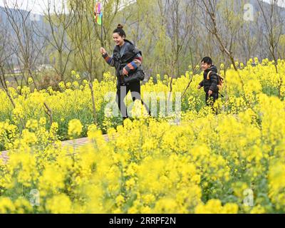 230318 -- HANZHONG, 18. März 2023 -- Touristen haben Spaß in cole Flower Fields in Hanzhong City, nordwestchinesische Provinz Shaanxi, 18. März 2023. Während die Temperatur allmählich steigt, haben die Blüten der cole viele Touristen nach Hanzhong gezogen. In den letzten Jahren wurde die ländliche Revitalisierung von Hanzhong durch die Entwicklung der ökologischen Landwirtschaft und des Tourismus stark gefördert. Foto von /Xinhua CHINA-SHAANXI-HANZHONG-COLE BLUMEN CN ZouxJingyi PUBLICATIONxNOTxINxCHN Stockfoto