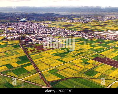 230318 -- HANZHONG, 18. März 2023 -- dieses Luftbild, das am 16. März 2023 aufgenommen wurde, zeigt cole Flower Fields im Yangxian County der Stadt Hanzhong in der nordwestlichen chinesischen Provinz Shaanxi. Während die Temperatur allmählich steigt, haben die Blüten der cole viele Touristen nach Hanzhong gezogen. In den letzten Jahren wurde die ländliche Revitalisierung von Hanzhong durch die Entwicklung der ökologischen Landwirtschaft und des Tourismus stark gefördert. Foto von /Xinhua CHINA-SHAANXI-HANZHONG-COLE BLUMEN CN ZouxJingyi PUBLICATIONxNOTxINxCHN Stockfoto