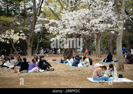 230321 -- TOKIO, 21. März 2023 -- Besucher haben Picknicks am Tag der Frühlingstagnachtgleiche im Yoyogi Park in Tokio, Japan, 21. März 2023. JAPAN-TOKIO-FRÜHLING EQUINOX-FREIZEIT ZhangxXiaoyu PUBLICATIONxNOTxINxCHN Stockfoto