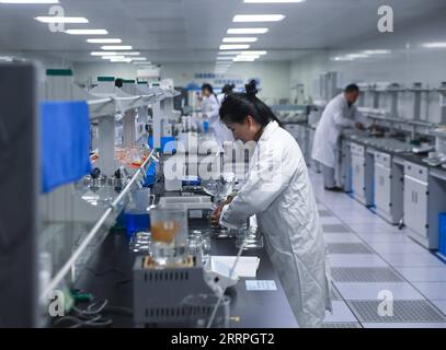 230324 -- HANGZHOU, 24. März 2023 -- Techniker arbeiten in der Jiaxing-Basis von Satellite Chemical Co., Ltd. In der ostchinesischen Provinz Zhejiang, 23. März 2023. Private Unternehmen in Zhejiang mit Schwerpunkt auf der Industrie- und der digitalen Wirtschaft haben sich in den letzten Jahren bemüht, die verarbeitende Industrie weiterzuentwickeln. Die Zahl der registrierten privaten Unternehmen und selbständigen Haushalte in der Provinz erreichte 2022 3,08 Mio. bzw. 6,04 Mio. In der Liste der 500 größten privaten Unternehmen Chinas hat die Gesamtzahl der Unternehmen in Zhejiang den ersten Platz belegt Stockfoto