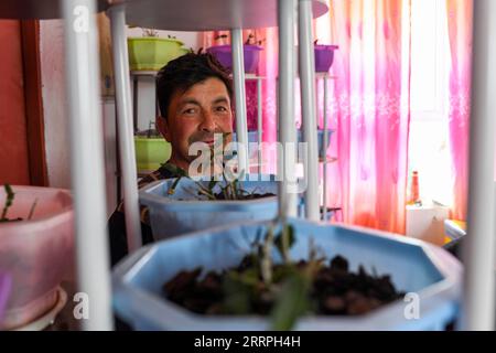 230325 -- TAXKORGAN, 25. März 2023 -- Duri Jarman überprüft dendrobium officinale, das in seinem Haus im Aimin-Dorf des autonomen Bezirks Taxkorgan Tadschik, Nordwestchina, Xinjiang Uygur, angepflanzt wurde, 26. Juni 2019. Das Leben des Hirten Duri Jarman ist eng mit zwei Orten verbunden: Dem Dorf Ak toga Langar, das tief in den Bergen des autonomen Bezirks Taxkorgan Tadschik liegt, und dem Dorf Aimin, das sich in der Nähe des Verwaltungssitzes befindet. Duri, heute 52 Jahre alt, lebte 47 Jahre im Dorf Ak toga Langar. Im Winter 2018 profitierte seine Familie von der Umsiedlungspolitik zur Armutsbekämpfung Stockfoto
