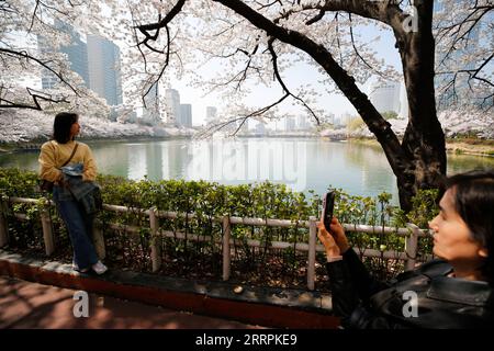 230330 -- SEOUL, 30. März 2023 -- Touristen sehen Kirschblüten und posieren für Fotos im Seokchon Lake Park in Seoul, Südkorea, 30. März 2023. SÜDKOREA-SEOUL-KIRSCHBLÜTEN WangxYiliang PUBLICATIONxNOTxINxCHN Stockfoto