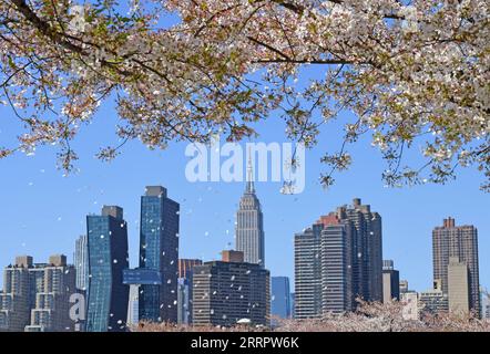 230413 -- NEW YORK, 13. April 2023 -- Kirschblüten werden am 12. April 2023 mit dem Stadthorizont in New York, USA, gesehen. U.S.-NEW YORK-SPRING LixRui PUBLICATIONxNOTxINxCHN Stockfoto