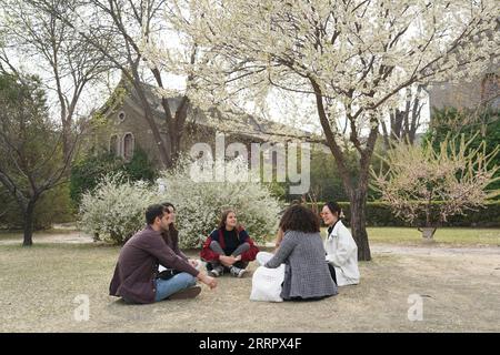 230415 -- PEKING, 15. April 2023 -- Marco 1st L chats mit Schulkameraden an der Peking Universität in Peking, Hauptstadt von China, 31. März 2023. Maria Eduarda Variani, Rafaela Viana dos Santos, Manuela Boiteux Pestana und Marco Andre Rocha Germano sind brasilianische Studenten, die im Master of China Studies an der Yenching Academy der Peking University in China studieren. Die vier interessieren sich seit ihrer Jugend für die chinesische Kultur. Nach der Ankunft in Peking sind sie beeindruckt von dem tiefgreifenden kulturellen Erbe der chinesischen Hauptstadt, den praktischen öffentlichen Dienstleistungen und den fabelhaften Städten Stockfoto