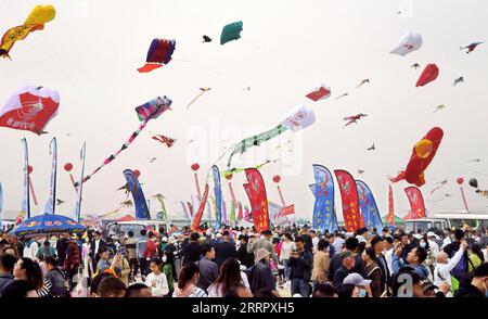 230415 -- WEIFANG, 15. April 2023 -- Menschen besuchen das 40. Internationale Weifang Kite Festival in Weifang, Ostchinesische Provinz Shandong, 15. April 2023. Der Drachenfliegerwettbewerb des 40. Internationalen Kite Festivals in Weifang startete hier am Samstag. CHINA-SHANDONG-WEIFANG-KITE FESTIVAL CN LIXZIHENG PUBLICATIONXNOTXINXCHN Stockfoto