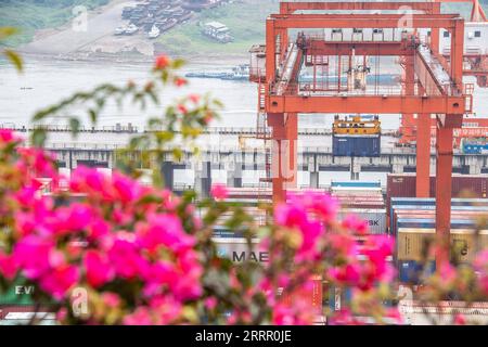 230421 -- CHONGQING, 21. April 2023 -- dieses Foto, das am 20. April 2023 aufgenommen wurde, zeigt einen Blick auf den Hafen von Guoyuan im südwestchinesischen Chongqing. Der Hafen von Guoyuan, der größte Hafen am Oberlauf des Yangtze, hat sich zu einem wichtigen Verkehrsknotenpunkt für mehrere Verkehrsträger entwickelt. Statistiken zeigen, dass der Frachtumschlag im Hafen von Guoyuan im ersten Quartal 2023 6,19 Millionen Tonnen erreichte, was einem Anstieg von 9,9 Prozent gegenüber dem Vorjahr entspricht. CHINA-CHONGQING-GUOYUAN-HAFENDURCHSATZ CN TANGXYI PUBLICATIONXNOTXINXCHN Stockfoto