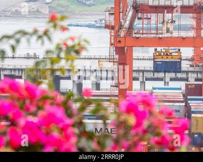 230421 -- CHONGQING, 21. April 2023 -- dieses Foto, das am 20. April 2023 aufgenommen wurde, zeigt einen Blick auf den Hafen von Guoyuan im südwestchinesischen Chongqing. Der Hafen von Guoyuan, der größte Hafen am Oberlauf des Yangtze, hat sich zu einem wichtigen Verkehrsknotenpunkt für mehrere Verkehrsträger entwickelt. Statistiken zeigen, dass der Frachtumschlag im Hafen von Guoyuan im ersten Quartal 2023 6,19 Millionen Tonnen erreichte, was einem Anstieg von 9,9 Prozent gegenüber dem Vorjahr entspricht. CHINA-CHONGQING-GUOYUAN-HAFENDURCHSATZ CN TANGXYI PUBLICATIONXNOTXINXCHN Stockfoto