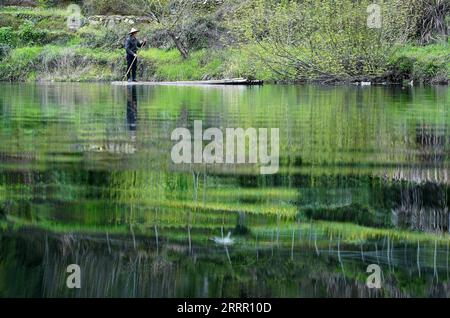 230423 -- PEKING, 23. April 2023 -- Ma Qinghai, ein Dorfbewohner des Dorfes Shangtan, reiht ein Bambusfloß in der Stadt Ziyang im Kreis Wuyuan, ostchinesische Provinz Jiangxi, 30. März 2023. Das Wuyuan County, eines der sechs Countys des alten Huizhou, erstreckt sich über eine Fläche von fast 3.000 Quadratkilometern. Die Wasserstraßen in Wuyuan sind eng und dicht miteinander verbunden. Die Einheimischen rudern oft Bambusflöße auf dem Fluss. Rudern von Bambusflößen ist die einzigartige Übung für Dorfbewohner hier, sagte Ma. Das antike Huizhou, als Präfektur mit sechs Grafschaften unter seiner Gerichtsbarkeit in der Geschichte, wurde mit einer einzigartigen geografischen Umgebung A ausgestattet Stockfoto