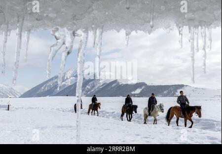 230427 -- HEMU, 27. April 2023 -- Suka 1st R fährt mit seinem Team einen Hügel hinauf im HEMU Village of Kanas, nordwestchinesische Autonome Region Xinjiang Uygur, 30. März 2023. Das HEMU Village liegt am malerischen Ort Kanas am Ausgangspunkt der G219 National Highway. Suka, die Parteisekretärin des Dorfes, führt die Einheimischen auf die Reise zur ländlichen Revitalisierung. Die Teilnahme an der Pferdemannschaft ist eine wichtige Einkommensquelle für die Dorfbewohner. Jedes Mitglied kann zwei Pferde zum Team nehmen, um Dienstleistungen für Touristen zu erbringen. Derzeit haben 68 der Teammitglieder die Armut mit den Achseln gedrückt, und zwar jedes Jahr Stockfoto