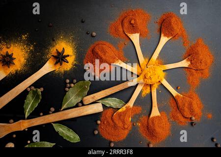 Paprika, Kurkuma und Lorbeerblätter angeordnet wie Blumen auf hölzernen Teelöffeln auf schwarzem Hintergrund Stockfoto