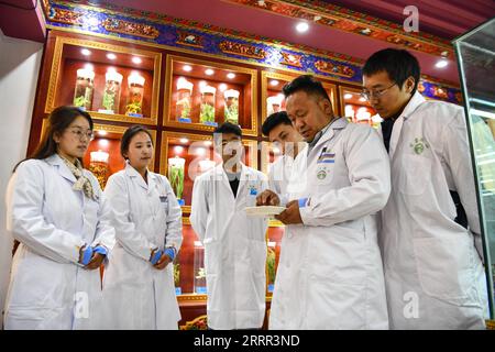 230430 -- LHASA, 30. April 2023 -- Buchung Tsering gibt seinen Studenten eine Lektion in einer Probengalerie für tibetische Medizin in Tibet Ganlu Tibetan Medicine Co., Ltd. In Lhasa, Südwestchina autonome Region Tibet, 20. April 2023. Buchung Tsering beschäftigt sich seit etwa 20 Jahren mit der tibetischen Medizin. Er ist Manager der Produktionsabteilung von Tibet Ganlu Tibetan Medicine Co., Ltd Die tibetische Medizin, im Tibetischen als Sowa Rigpa bekannt, geht auf 2.500 Jahre zurück. Es hat die Einflüsse der traditionellen chinesischen, indischen und arabischen Medizin absorbiert und wird hauptsächlich in Tibet an praktiziert Stockfoto