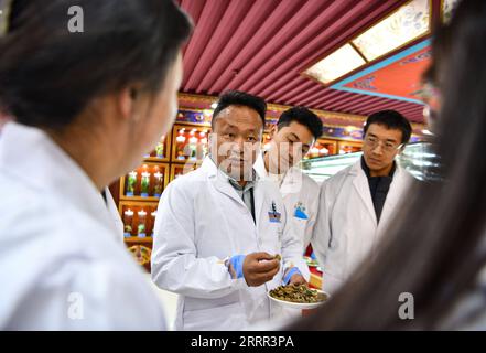 230430 -- LHASA, 30. April 2023 -- Buchung Tsering gibt seinen Studenten eine Lektion in einer Probengalerie für tibetische Medizin in Tibet Ganlu Tibetan Medicine Co., Ltd. In Lhasa, Südwestchina autonome Region Tibet, 20. April 2023. Buchung Tsering beschäftigt sich seit etwa 20 Jahren mit der tibetischen Medizin. Er ist Manager der Produktionsabteilung von Tibet Ganlu Tibetan Medicine Co., Ltd Die tibetische Medizin, im Tibetischen als Sowa Rigpa bekannt, geht auf 2.500 Jahre zurück. Es hat die Einflüsse der traditionellen chinesischen, indischen und arabischen Medizin absorbiert und wird hauptsächlich in Tibet an praktiziert Stockfoto