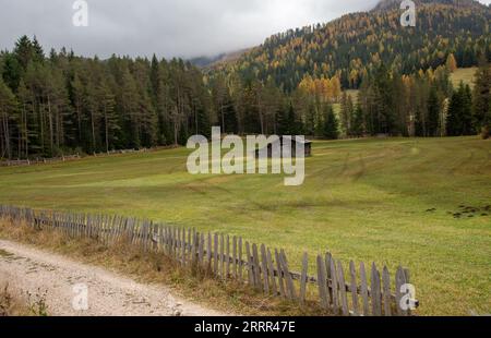 Verlassenes Bauernhaus aus Holz auf dem Ackerland, umgeben von Waldbäumen im Herbst Stockfoto