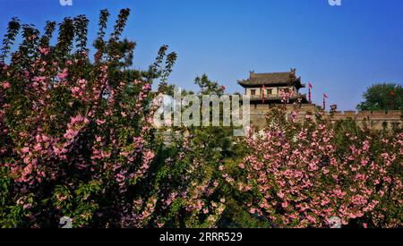 230504 -- XI AN, 4. Mai 2023 -- dieses Luftbild, das am 1. April 2023 aufgenommen wurde, zeigt die Landschaft der alten Stadtmauer mit blühenden Blumen in Xi an, der nordwestlichen chinesischen Provinz Shaanxi. XI an, eine Stadt mit über 3.100 Jahren Geschichte, diente als Hauptstadt für 13 Dynastien in der chinesischen Geschichte. Es ist auch die Heimat der weltberühmten Terrakotta-Krieger, die in der Qin-Dynastie 221-207 v. Chr. geschaffen wurden. In den letzten Jahren hat die Stadt innovative Veränderungen erforscht und dem historischen und kulturellen Erbe neue Vitalität verliehen. Touristen erhalten ein immersives kulturelles Erlebnis durch eine Mischung aus Shoppen Stockfoto