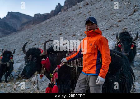 230522 -- LHASA, 22. Mai 2023 -- Herdsman Palden posiert mit seinen Yaks in der autonomen Region Tibet im Südwesten Chinas, 17. Mai 2023. Aufgrund der komplizierten natürlichen Bedingungen des höchsten Gipfels der Welt, des Mount Qomolangma, ist die Yak-Beförderung zu einem unverzichtbaren Transportmittel für Güter und Materialien für wissenschaftliche Expeditionen zum Mt. Qomolangma. Hirten leben in der Township Zhaxizom im Tingri County, der nächstgelegenen Verwaltungstownship in China zum Mt. Qomolangma, hat Yak-Dienste für Bergsteiger als Reaktion auf die Nachfrage bereitgestellt. Die Arbeit der Hirten bei der Yak-Beförderung beginnt normalerweise mit dem Gehen Stockfoto