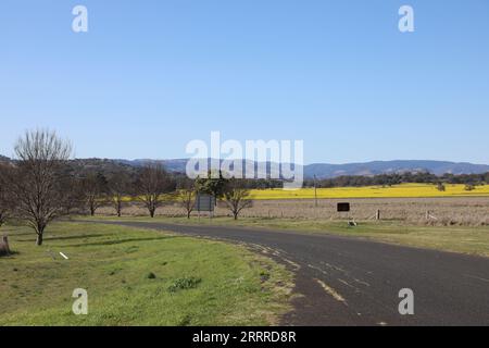 Cassilis, New South Wales, Australien Stockfoto