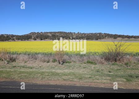 Cassilis, New South Wales, Australien Stockfoto