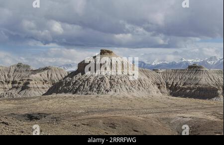 China, Gebirgslandschaften 230527 -- LHASA, 27. Mai 2023 -- dieses Foto, das am 25. Mai 2023 aufgenommen wurde, zeigt die Landschaft des Erdwaldes im Zanda County, der südwestchinesischen Autonomen Region Tibet. Zanda ist berühmt für die einzigartige Landschaft des Erdwaldes, die durch geologische Bewegungen und Bodenerosion entstanden ist. Diese Wälder sehen gelblich aus, aber die Farbe variiert in verschiedenen Teilen. CHINA-TIBET-ZANDA-ERDE-WALDLANDSCHAFT CN YANGXZHISEN PUBLICATIONXNOTXINXCHN Stockfoto