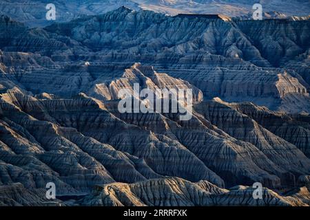 China, Gebirgslandschaften 230527 -- LHASA, 27. Mai 2023 -- dieses Foto, das am 25. Mai 2023 aufgenommen wurde, zeigt die Landschaft des Erdwaldes im Zanda County, der südwestchinesischen Autonomen Region Tibet. Zanda ist berühmt für die einzigartige Landschaft des Erdwaldes, die durch geologische Bewegungen und Bodenerosion entstanden ist. Diese Wälder sehen gelblich aus, aber die Farbe variiert in verschiedenen Teilen. CHINA-TIBET-ZANDA-ERDE-WALDLANDSCHAFT CN JIGMEXDORJE PUBLICATIONXNOTXINXCHN Stockfoto