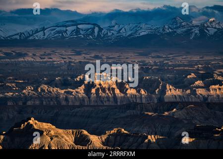 China, Gebirgslandschaften 230527 -- LHASA, 27. Mai 2023 -- dieses Foto, das am 25. Mai 2023 aufgenommen wurde, zeigt die Landschaft des Erdwaldes im Zanda County, der südwestchinesischen Autonomen Region Tibet. Zanda ist berühmt für die einzigartige Landschaft des Erdwaldes, die durch geologische Bewegungen und Bodenerosion entstanden ist. Diese Wälder sehen gelblich aus, aber die Farbe variiert in verschiedenen Teilen. CHINA-TIBET-ZANDA-ERDE-WALDLANDSCHAFT CN JIGMEXDORJE PUBLICATIONXNOTXINXCHN Stockfoto