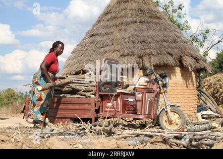 230531 -- WEDZA, 31. Mai 2023 -- Philis Chifamba entlädt am 19. Mai 2023 Brennholz aus einem E-Dreirad in ihrem Haus in Wedza, etwa 140 Kilometer von Simbabwes Hauptstadt Harare entfernt. ZU DIESEM Feature: Ländliche Frauen fahren Simbabwes grünen Übergang ZIMBABWE-WEDZA-RURUAL FRAU-ELEKTRISCHES DREIRAD TafaraxMugwara PUBLICATIONxNOTxINxCHN Stockfoto