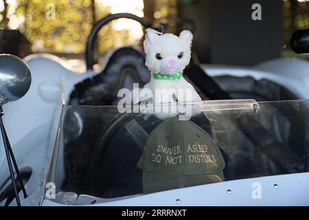 Goodwood, West Sussex, Großbritannien. September 2023. Der Fahrer schläft nicht im Goodwood Revival in Goodwood, West Sussex, Großbritannien. © Malcolm Greig/Alamy Live News Stockfoto