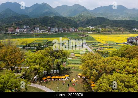 230611 -- HANGZHOU, 11. Juni 2023 -- dieses Luftbild vom 7. April 2023 zeigt einen Park mit cole-Blumen im Dorf Xiaotongzhou, Bezirk Fuyang der Stadt Hangzhou, ostchinesische Provinz Zhejiang. Seit 2003 hat Zhejiang im Yangtze-Delta ein Programm zur Erneuerung der ländlichen Umwelt in Dörfern umgesetzt, das im September 2018 vom UN-Umweltprogramm als „UNEP Champions of the Earth“ ausgezeichnet wurde. Seit zwanzig Jahren hat das Programm Tausende von schönen Dörfern geschaffen und das Gesicht der Landschaft der Provinz grundlegend verändert. CHINA- Stockfoto