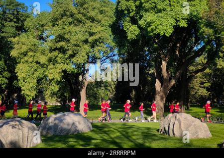 230613 -- PEKING, 13. Juni 2023 -- dieses Foto, das mit einem Mobiltelefon aufgenommen wurde, zeigt Menschen, die im Tiantan Temple of Heaven Park in Peking, Hauptstadt von China, am 3. Juni 2023 joggen. Die in der Yuan-Dynastie von 1271 bis 1368 geschaffene Zentralachse von Peking (Zhongzhouxian) erstreckt sich 7,8 Kilometer zwischen dem Yongding-Tor Yongdingmen im Süden der Stadt und dem Trommelturm und dem Glockenturm im Norden. Die meisten der großen Gebäude der Altstadt Pekings liegen entlang dieser Achse. Vierzehn historische Orte entlang der Achse, darunter Qianmen, die Verbotene Stadt, Jingshan Park, die Trommel- und Glockentürme und Tian anm Stockfoto