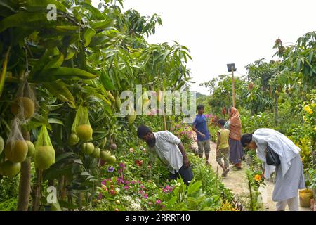 230613 -- DHAKA, 13. Juni 2023 -- Besucher sehen Pflanzen während einer Baummesse in Dhaka, Bangladesch, 13. Juni 2023. Am 5. Juni startete hier in Dhaka eine monatelange Baummesse mit dem Titel National Tree Fair. BANGLADESCH-DHAKA-NATIONAL-BAUMMESSE Salim PUBLICATIONxNOTxINxCHN Stockfoto