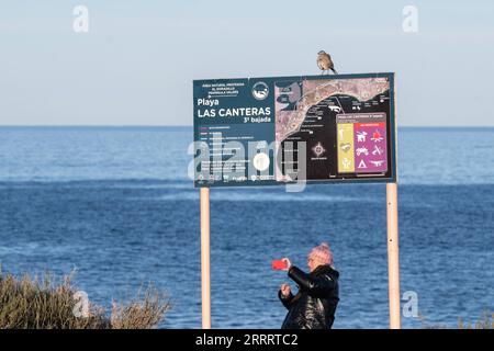 230614 -- PUERTO MADRYN, 14. Juni 2023 -- Ein Tourist fotografiert am 13. Juni 2023 an einem Strand in Puerto Madeleine, Argentinien. Zwischen Juni und Dezember kommen jedes Jahr Tausende von Walen hierher, um sich zu brüten und zu kalben. ARGENTINIEN-PUERTO MADRYN-UMWELT-TIERWELT WangxTiancong PUBLICATIONxNOTxINxCHN Stockfoto