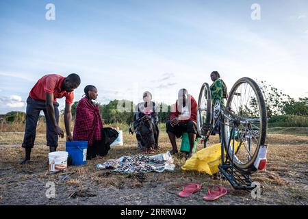 230615 -- MWANZA, 15. Juni 2023 -- Dorfbewohner verkaufen am 12. Juni 2023 Fisch am Ufer des Viktoriasees in der Region Mwanza, Tansania. Der Victoria-See im Great Rift Valley in Ostafrika ist der größte Süßwassersee Afrikas und der zweitgrößte Süßwassersee der Welt. Die Fischerei ist mit einem jährlichen Produktionswert von 600 Millionen US-Dollar die wichtigste Industrie im Seegebiet. Es ist eine wichtige Nahrungsquelle und Einkommensquelle für die Bewohner des Sees. TANSANIA-MWANZA-LAKE VICTORIA-FISHERMAN WangxGuansen PUBLICATIONxNOTxINxCHN Stockfoto