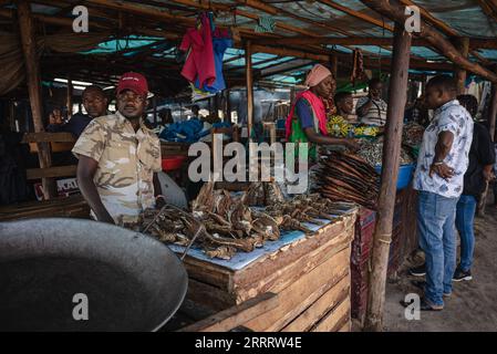 230615 -- MWANZA, 15. Juni 2023 -- Dorfbewohner verkaufen gebratenen Fisch am Ufer des Viktoriasees in der Region Mwanza, Tansania am 11. Juni 2023. Der Victoria-See im Great Rift Valley in Ostafrika ist der größte Süßwassersee Afrikas und der zweitgrößte Süßwassersee der Welt. Die Fischerei ist mit einem jährlichen Produktionswert von 600 Millionen US-Dollar die wichtigste Industrie im Seegebiet. Es ist eine wichtige Nahrungsquelle und Einkommensquelle für die Bewohner des Sees. TANSANIA-MWANZA-LAKE VICTORIA-FISHERMAN WangxGuansen PUBLICATIONxNOTxINxCHN Stockfoto