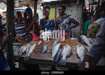 230615 -- MWANZA, 15. Juni 2023 -- Dorfbewohner verkaufen am 11. Juni 2023 Fisch am Ufer des Viktoriasees in der Region Mwanza, Tansania. Der Victoria-See im Great Rift Valley in Ostafrika ist der größte Süßwassersee Afrikas und der zweitgrößte Süßwassersee der Welt. Die Fischerei ist mit einem jährlichen Produktionswert von 600 Millionen US-Dollar die wichtigste Industrie im Seegebiet. Es ist eine wichtige Nahrungsquelle und Einkommensquelle für die Bewohner des Sees. TANSANIA-MWANZA-LAKE VICTORIA-FISHERMAN WangxGuansen PUBLICATIONxNOTxINxCHN Stockfoto