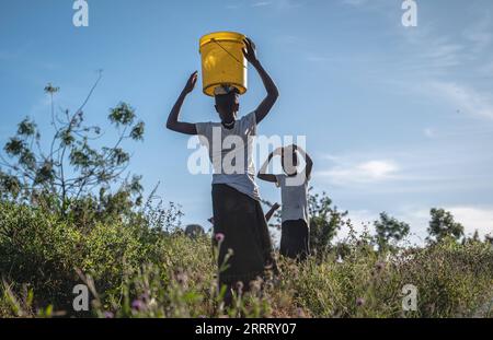 230617 -- MWANZA, 17. Juni 2023 -- Dorfbewohner holen Wasser aus einem Bach in der Sahwa der Mwanza Region, Tansania, 11. Juni 2023. Die Mwanza Region liegt im Nordwesten Tansanias und grenzt an das südliche Ufer des Viktoriasees, des größten Süßwassersees Afrikas und des zweitgrößten Sees der Welt. Leider sind die Bewohner des Sees aufgrund unzureichender Infrastruktur mit Wasserknappheit konfrontiert. Kelvin Josephat Kituruka, gebürtiger Mwanza, trat nach Abschluss seines Studiums in dar es Salaam als Qualitätsingenieur der China Civil Engineering Construction Corporation CCECC bei. Stockfoto