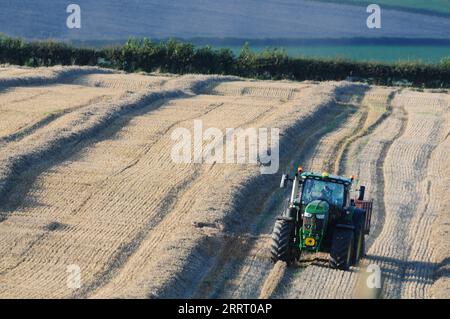 Traktor, der im August Getreide aus frisch geschnittenem Weizenfeld in Dorset transportiert Stockfoto