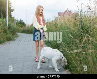 Hündchen labrador Retriever und kleines Mädchen. Kleines Mädchen, das mit Golden Retriever spielt Stockfoto