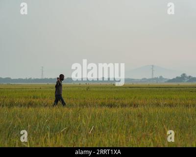 230623 -- KIHANGA, 23. Juni 2023 -- Ein Bauer spaziert auf dem Feld in Kihanga, Provinz Bubanza, Burundi, 20. Juni 2023. Das ostafrikanische Land Burundi ist bekannt als das Herz Afrikas und hat ein tropisches Klima mit reichlich Niederschlag. Die natürlichen Bedingungen sind günstig für die Reisproduktion, aber der geringe Ertrag der lokalen Reisproduktion lässt die Burunder lange Zeit unter Nahrungsmittelknappheit leiden. Um dieser Herausforderung zu begegnen, führt China seit August 2009 in Burundi technische Kooperationsprogramme durch und entsendet Experten in das afrikanische Land, um die Entwicklung der Landwirtschaft zu unterstützen. BURUNDI-KIHANGA-REIS-CHINESISCHER EXPER Stockfoto