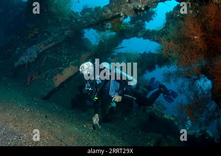 Tauchen Sie in Wrack, Liberty Wrack Tauchplatz, Tulamben, Karangasem, Bali, Indonesien Stockfoto