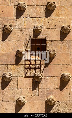 Altes Fenster mit schmiedeeisernen Balken und Muschelleisten an der Wand mit langgezogenen Schatten von der Abendsonne an der Fassade des Granitblocks Casa de Stockfoto