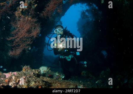 Taucher mit Fackel im Wrack, Liberty Wrack Tauchplatz, Tulamben, Karangasem, Bali, Indonesien Stockfoto