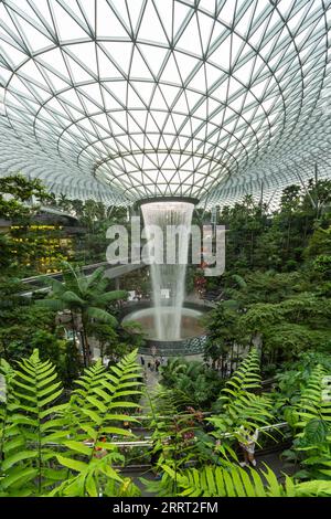 Singapur - August 29,2023: Der Jewel Changi Airport ist ein naturbelassener Unterhaltungs- und Einzelhandelskomplex, der von einem Passagier umgeben ist und mit ihm verbunden ist Stockfoto