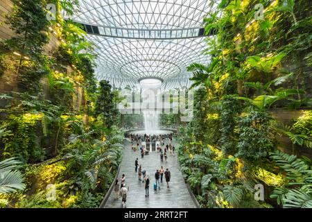 Singapur - August 29,2023: Der Jewel Changi Airport ist ein naturbelassener Unterhaltungs- und Einzelhandelskomplex, der von einem Passagier umgeben ist und mit ihm verbunden ist Stockfoto