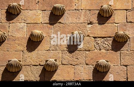 Muster aus drei horizontalen Reihen von Granitschalenleisten an der Wand mit langen Schatten, die von der Abendsonne in der Casa de la auf die Granitwand gegossen werden Stockfoto