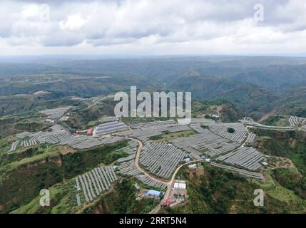 230630 -- YAN, 30. Juni 2023 -- dieses Luftbild vom 28. Juni 2023 zeigt einen Apfelgarten im Dorf Liangjiahe im Kreis Yanchuan in der Stadt Yan, Provinz Shaanxi im Nordwesten Chinas. Der hoch aufragende Baota Mountain und der rollende Yanhe River waren Zeuge der Entwicklung von Yan, einer alten revolutionären Basis auf dem Loess Plateau im Nordwesten Chinas. Diese Fotos zeigen das neue Stadtbild von Yan anlässlich des 102. Jahrestages der Gründung der Kommunistischen Partei Chinas (KPCh). CHINA-SHAANXI-YAN-AERIAL VIEW CN ZHANGXBOWEN PUBLICATIONXNOTXINXCHN Stockfoto